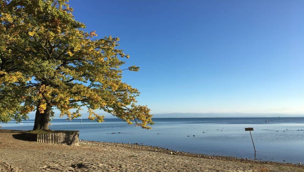 Ausflug Herbst Bodensee entdecken Bodensee Herbsttage Hotel Maier Ausfluege