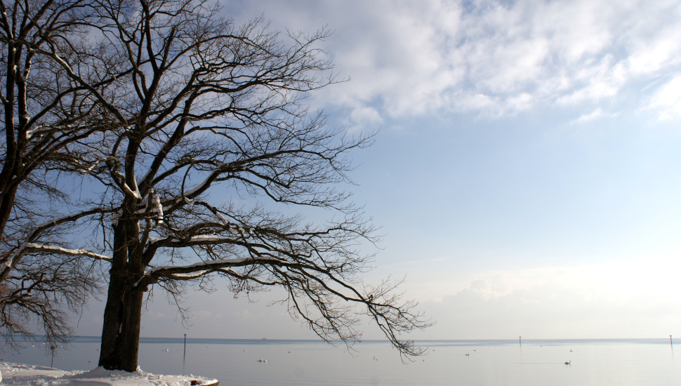 Winter Urlaub in Friedrichshafen am See Winter Friedrichshafen See Urlaub Hotel Maier