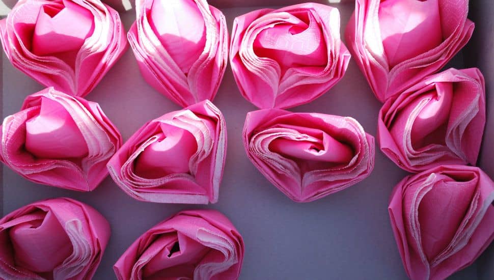 Valentinstag im Hotel Maier am Bodensee feiern Valentinstag Hotel Maier Bodensee Rosen