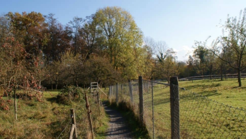 Ferienhof Fahr in Fischbach - Hotel Maier