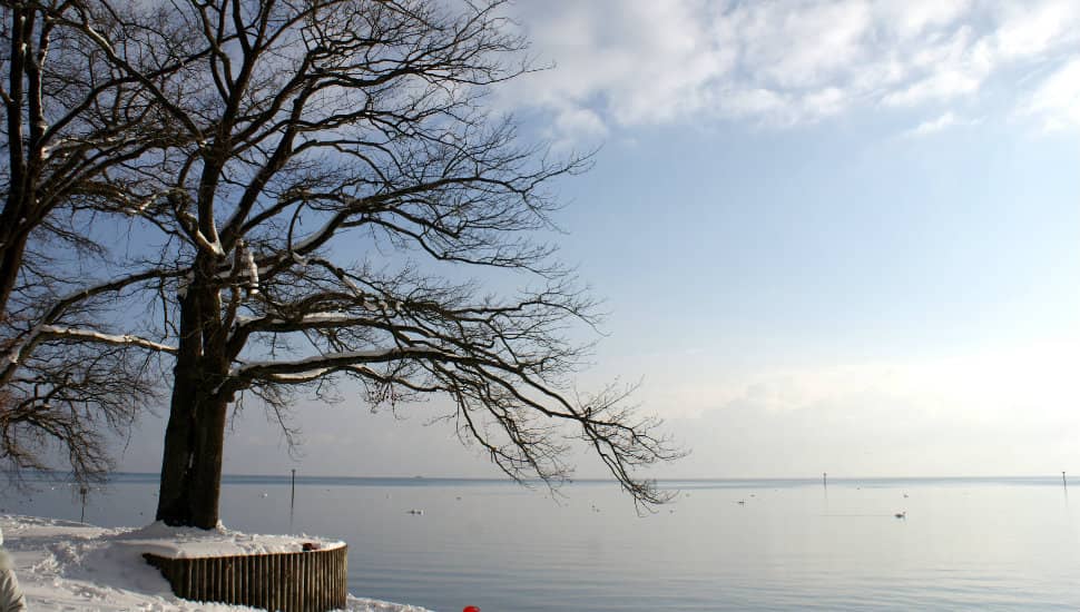 Winterwunderland Bodensee