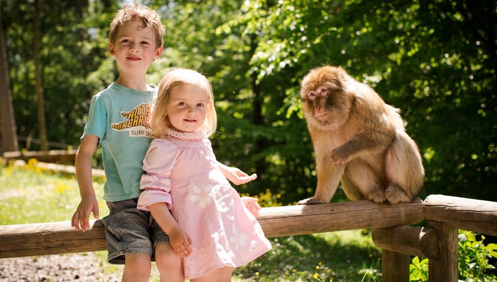 Kinder Urlaubsspaß Hotel Maier Angebot Familienurlaub